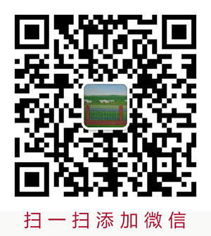 護(hù)欄網(wǎng)微信